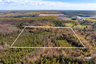 00 Benzie Hwy, Benzonia, MI 49616 - Photo 1