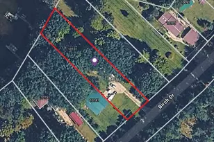 10131 Birch Dr, Riverdale, MI 48877 - Photo 66