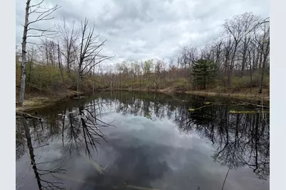 E Jackson Street, White Cloud, MI 49349 - Photo 2