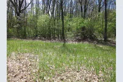 44th Avenue, Mattawan, MI 49071 - Photo 4