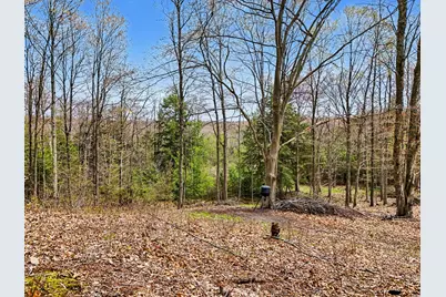 24 Acres 56th Ave, Mears, MI 49436 - Photo 4