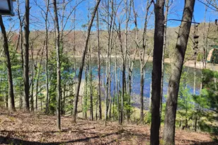 9223 S Trail Of The Lakes, Baldwin, MI 49304 - Photo 32