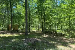 9826 S Orchid Ave, Baldwin, MI 49304 - Photo 36