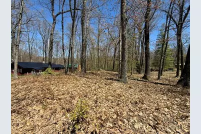9826 S Orchid Avenue, Baldwin, MI 49304 - Photo 42