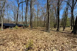 9826 S Orchid Ave, Baldwin, MI 49304 - Photo 42