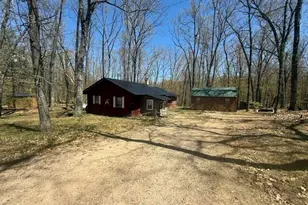 9826 S Orchid Ave, Baldwin, MI 49304 - Photo 2