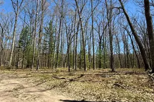 9826 S Orchid Ave, Baldwin, MI 49304 - Photo 46