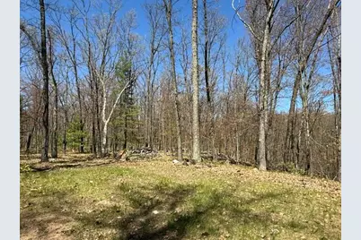 9826 S Orchid Avenue, Baldwin, MI 49304 - Photo 36