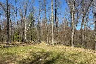 9826 S Orchid Ave, Baldwin, MI 49304 - Photo 36