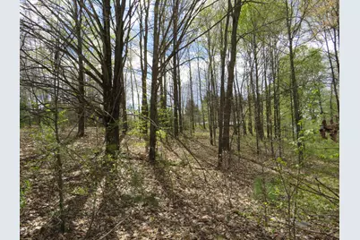 6800 170th Avenue, Stanwood, MI 49346 - Photo 32