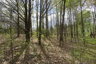 6800 170th Ave, Stanwood, MI 49346 - Photo 32