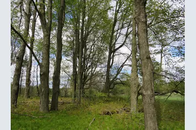 6800 170th Avenue, Stanwood, MI 49346 - Photo 42