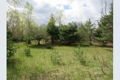 6800 170th Avenue, Stanwood, MI 49346 - Photo 50