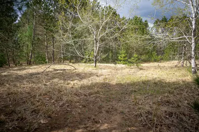 Hudson Road SW, South Boardman, MI 49680 - Photo 30