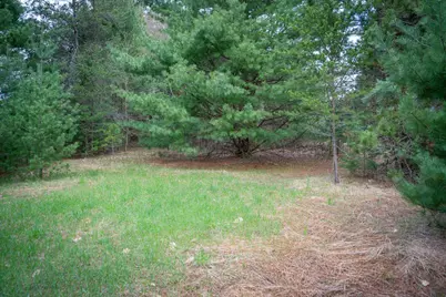 Hudson Road SW, South Boardman, MI 49680 - Photo 20