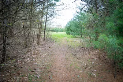 Hudson Road SW, South Boardman, MI 49680 - Photo 22