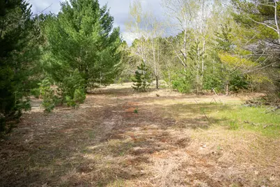 Hudson Road SW, South Boardman, MI 49680 - Photo 28