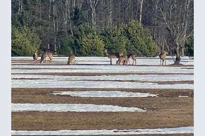 Vl 5 Acres 9 Mile Road, Kaleva, MI 49645 - Photo 2