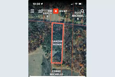 Vl 5 Acres 9 Mile Road, Kaleva, MI 49645 - Photo 26