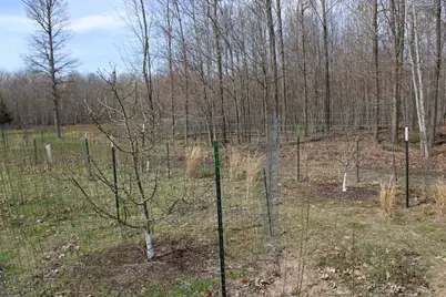 2954 N Carter Road, Pinconning, MI 48650 - Photo 74