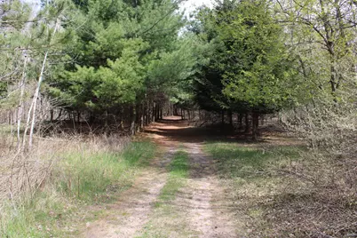 2954 N Carter Road, Pinconning, MI 48650 - Photo 62