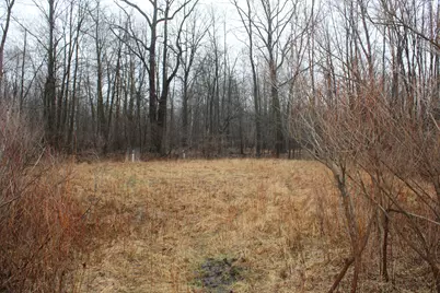 2954 N Carter Road, Pinconning, MI 48650 - Photo 54