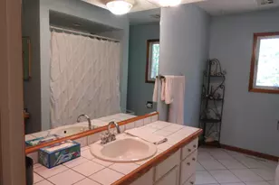 9552 Pine St, Bridgman, MI 49106 - Photo 14