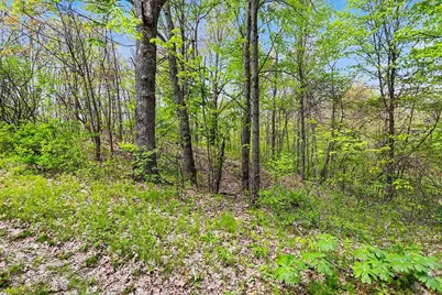 N Uldriks Road, Battle Creek, MI 49017 - Photo 10