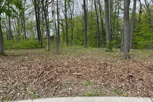820 E Indiana St, New Buffalo, MI 49117 - Photo 1