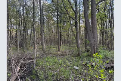 6034 136th Avenue, Saugatuck, MI 49453 - Photo 6
