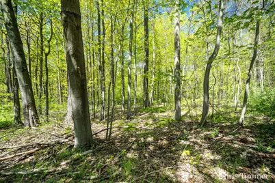 2280 Taft Road, Allegan, MI 49010 - Photo 44