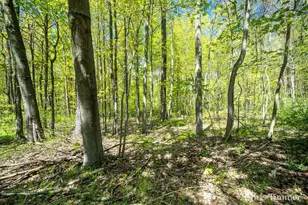 2280 Taft Rd, Allegan, MI 49010 - Photo 44