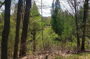 1700 Hamilton Rd, Battle Creek, MI 49017 - Photo 12
