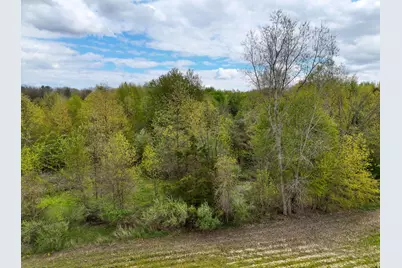 V/L Lot 1 S Fenmore Road, Bannister, MI 48807 - Photo 14