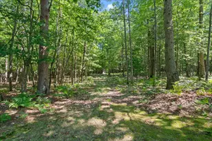 6653 W Jackson Rd, Pentwater, MI 49449 - Photo 28