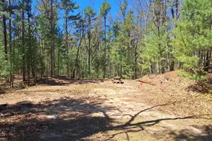5957 W Ede St, Pentwater, MI 49449 - Photo 28