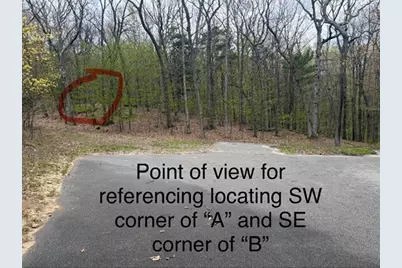 Lot B Silver Vista, Mears, MI 49436 - Photo 10