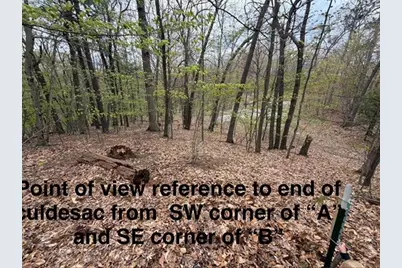 Lot B Silver Vista, Mears, MI 49436 - Photo 8