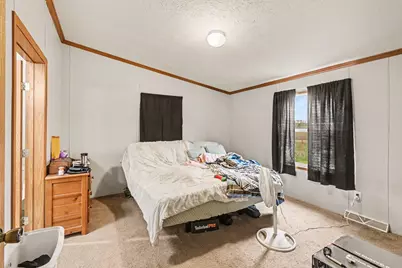 10952 Frost Road, Portland, MI 48875 - Photo 12