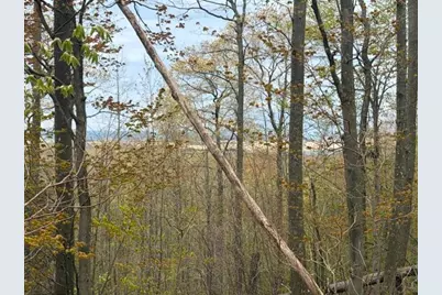 Lot A Silver Vista, Mears, MI 49436 - Photo 22