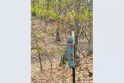 Lot A Silver Vista, Mears, MI 49436 - Photo 10