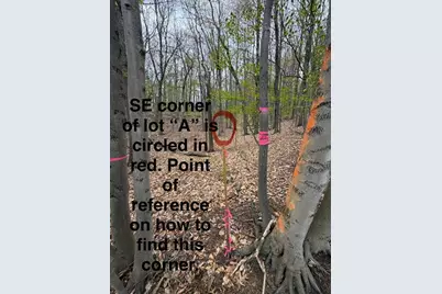 Lot A Silver Vista, Mears, MI 49436 - Photo 8