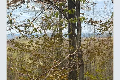 Lot A Silver Vista, Mears, MI 49436 - Photo 6