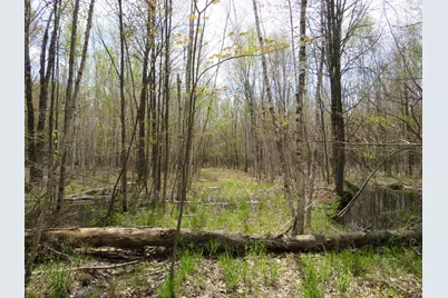 N Chippewa Road, Mount Pleasant, MI 48858 - Photo 10