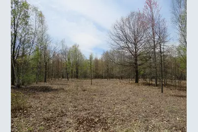N Chippewa Road, Mount Pleasant, MI 48858 - Photo 4