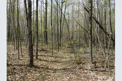N Chippewa Road, Mount Pleasant, MI 48858 - Photo 14