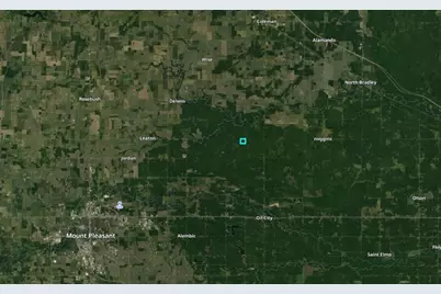 N Chippewa Road, Mount Pleasant, MI 48858 - Photo 28