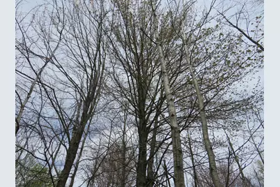 N Chippewa Road, Mount Pleasant, MI 48858 - Photo 16