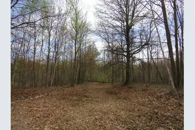 N Chippewa Road, Mount Pleasant, MI 48858 - Photo 18