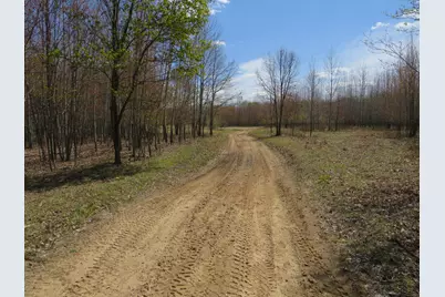 N Chippewa Road, Mount Pleasant, MI 48858 - Photo 2